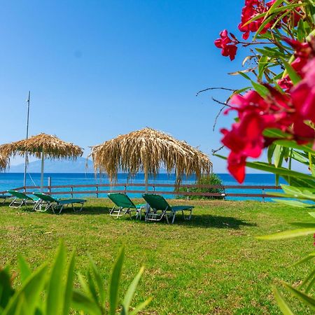 Baywatch Apartments On The Beach By "Elite" Αμμούδι Εξωτερικό φωτογραφία